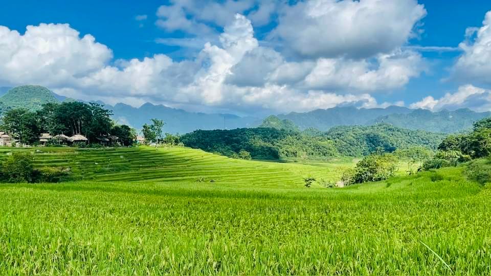 Northern Vietnam Cycle Trip 7 Days